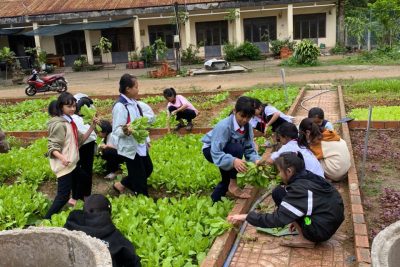 MÔ HÌNH “VƯỜN RAU CỦA EM” CỦA HỌC SINH TRƯỜNG PTDTNT THCS HUYỆN BA TƠ